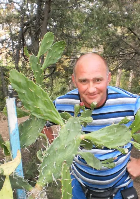 Я Василий, 56, из Луганска, ищу знакомство для постоянных отношений