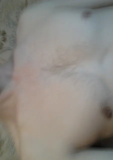 Сергей из Сорокино, мне 54, познакомлюсь для дружбы