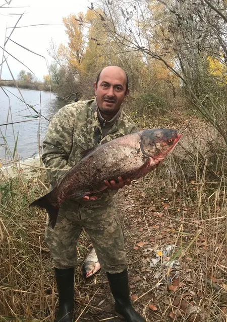Я Рома, 49 років, знайомлюсь без зобов'язань у Запоріжжі