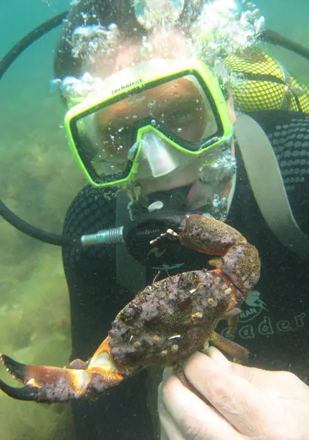 Papa из Одессы, мне 67, познакомлюсь на одну ночь