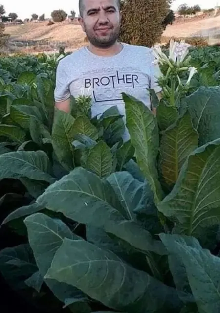 Umut из Стамбула