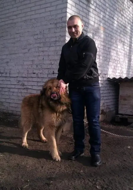 Александр з Запоріжжя, мені 41 років, познайомлюсь на одну ніч