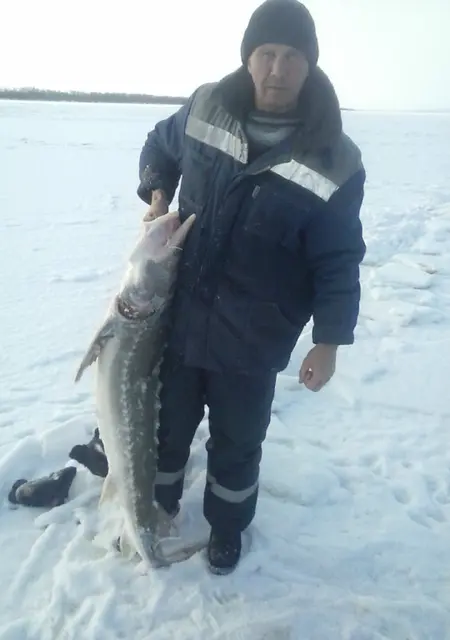 Я Роман, 50 років, знайомлюсь для спілкування у Донецьку