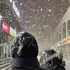 Ali из Донецка, ищу на сайте знакомства на одну ночь