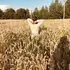 Я Оля, 25, из Харькова, ищу знакомство для общения