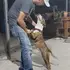 Я Jose, 37, из Лондона, ищу знакомство для дружбы